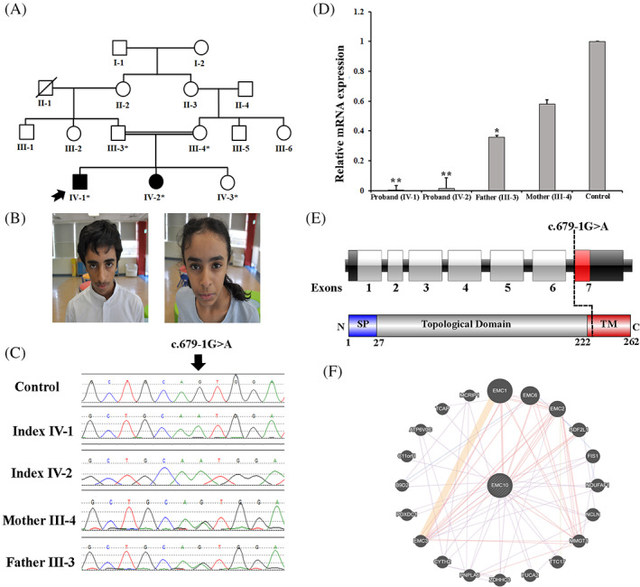 FIGURE 1