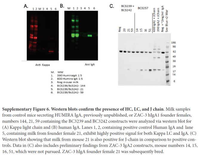 Supplementary Figure 6.