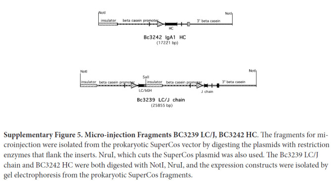 Supplementary Figure 5.