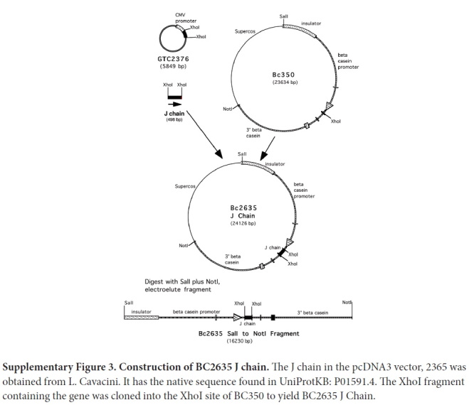 Supplementary Figure 3.