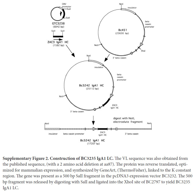 Supplementary Figure 2.