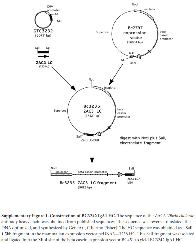 Supplementary Figure 1.