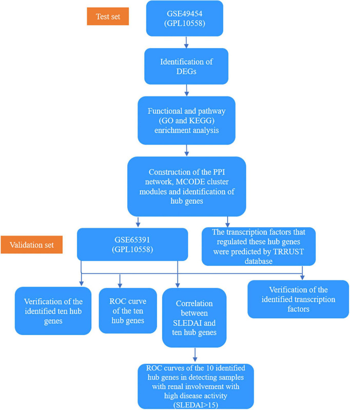 FIGURE 1