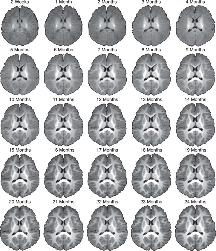 Extended Data Fig. 4