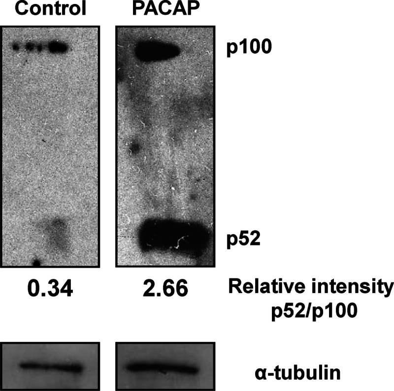 FIGURE 12.