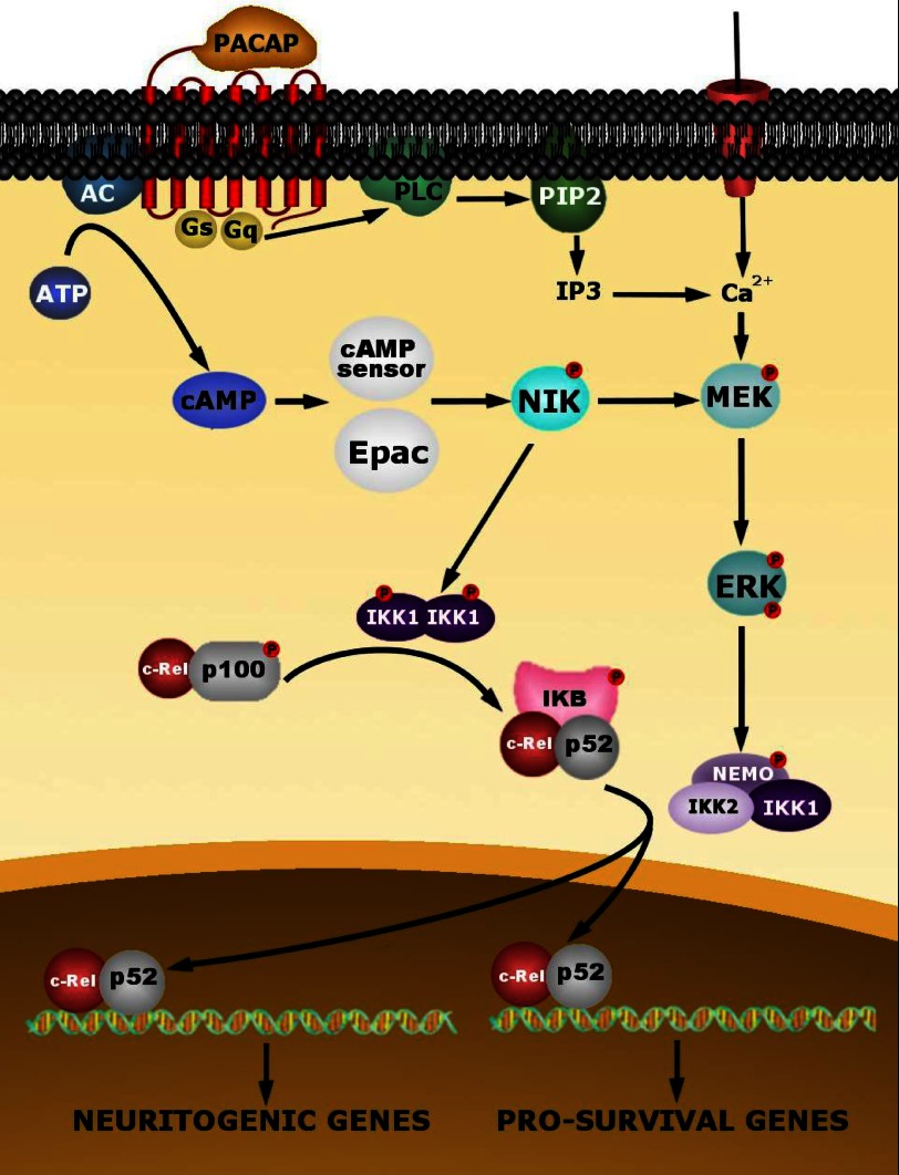 FIGURE 13.