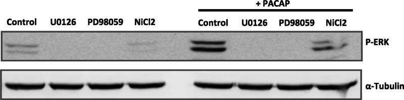 FIGURE 11.