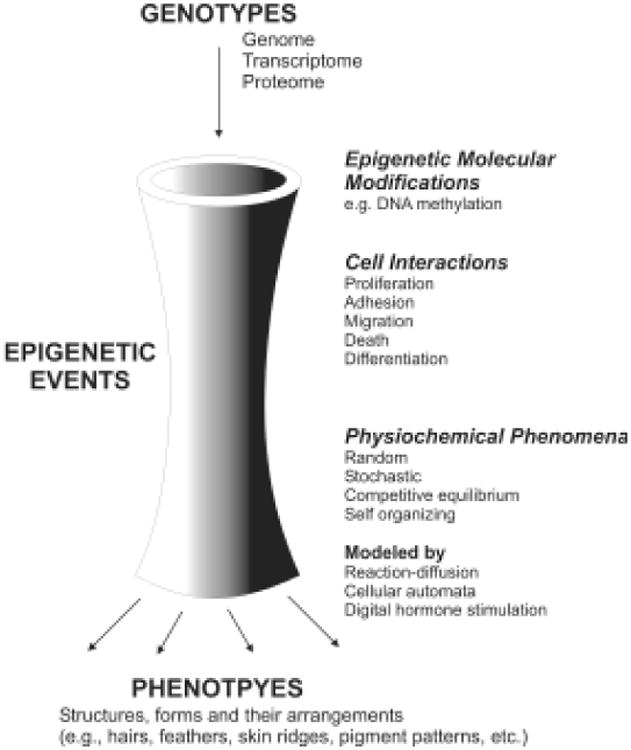 Fig. 9