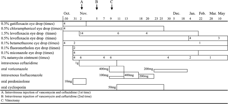 Fig. 3