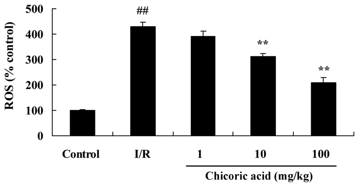 Figure 5.