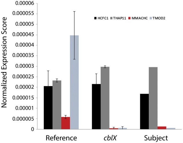 Figure 6