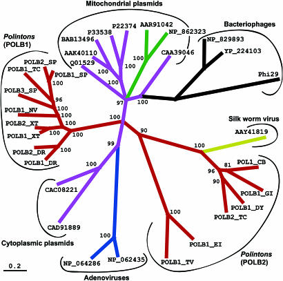 Fig. 3.