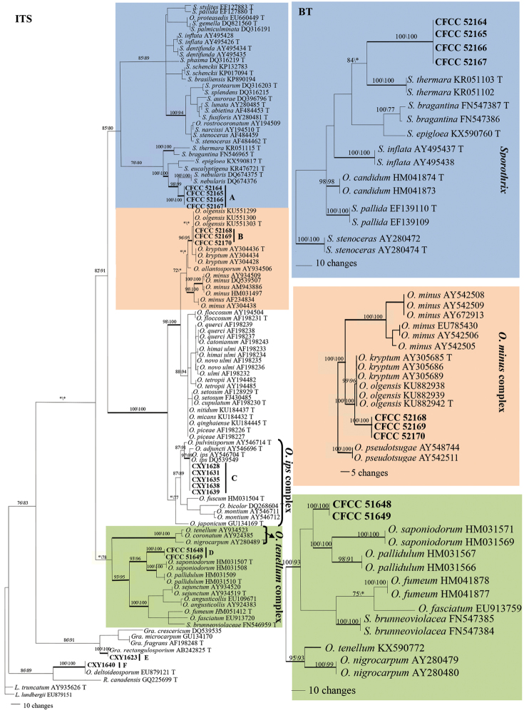 Figure 1.