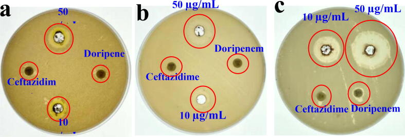 Fig. 5