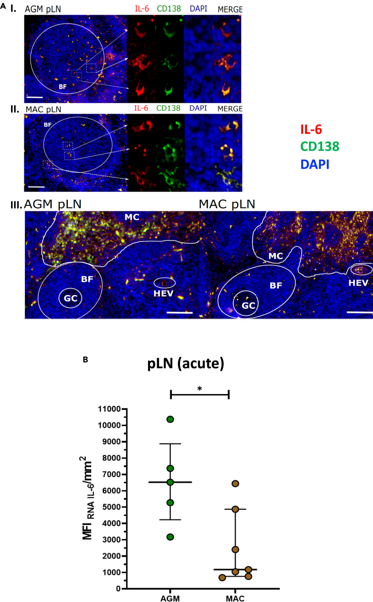 Figure 5