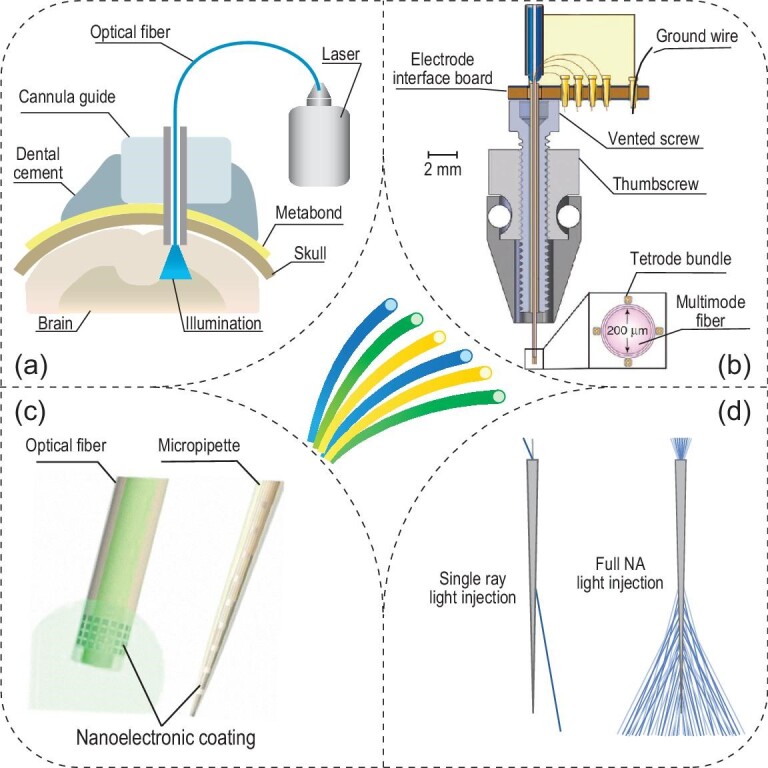 Figure 2.