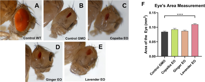 Fig 5