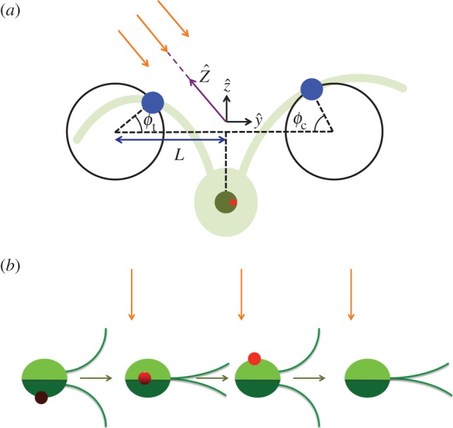 Figure 1.