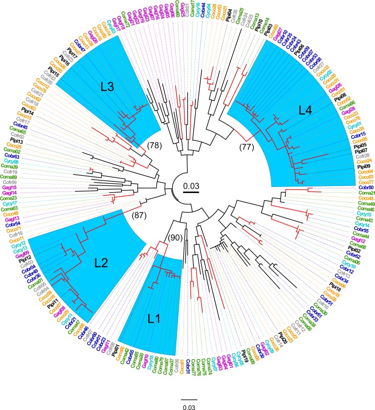 Fig 1