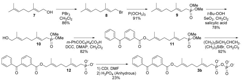 Scheme 2