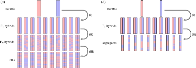 Figure 2.