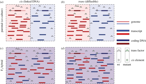 Figure 3.