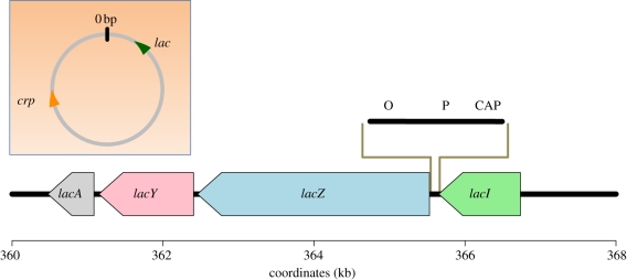 Figure 1.