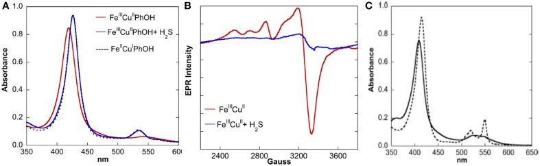 Figure 13