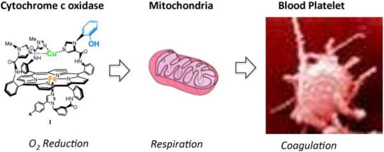 Figure 15