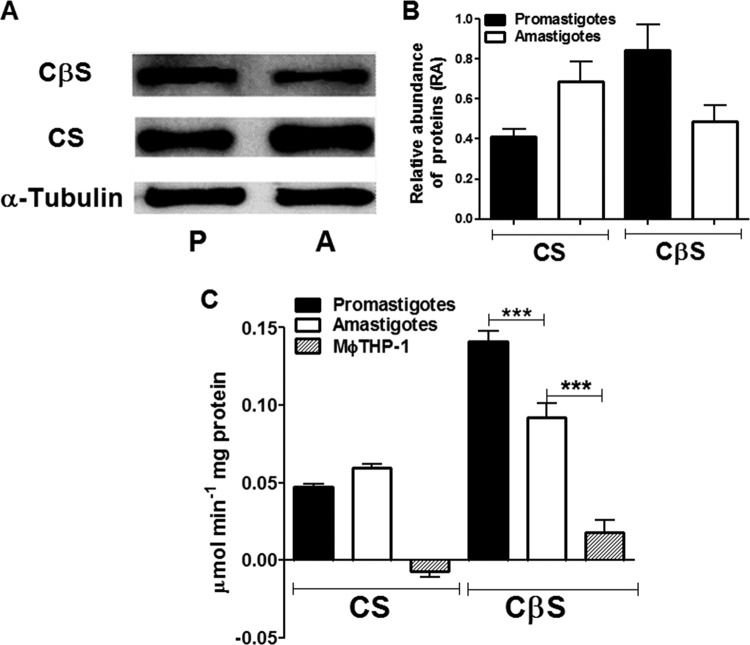 FIG 1