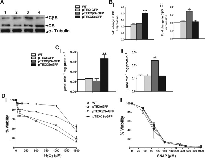 FIG 4