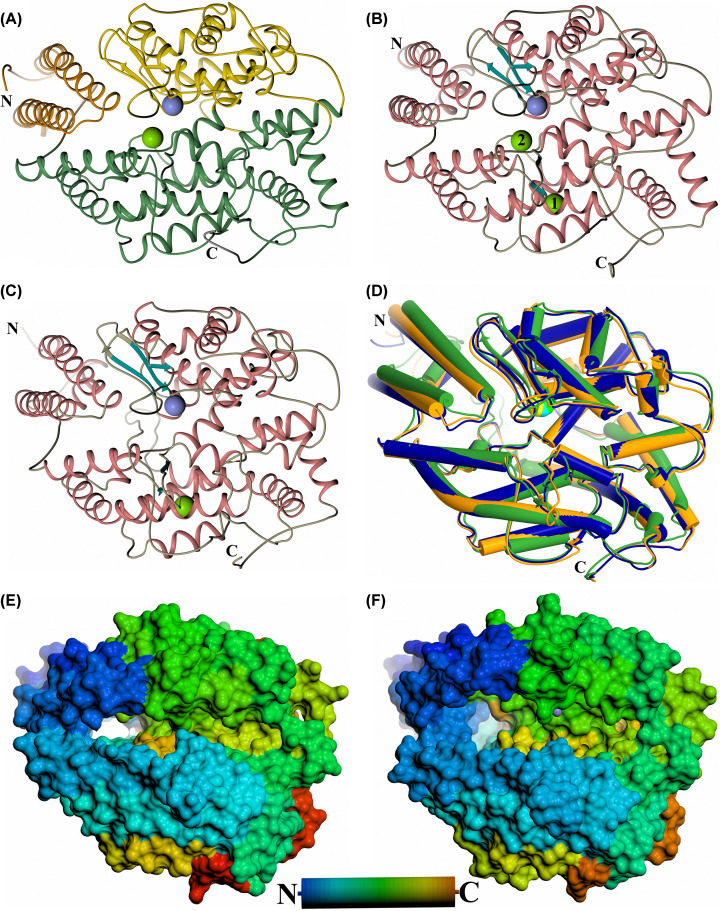 Figure 2