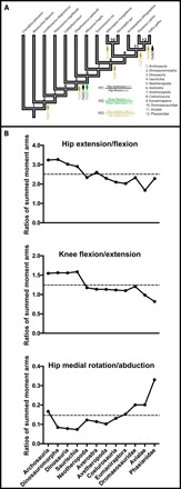 Fig. 8