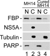 FIG. 9.