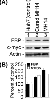 FIG. 12.