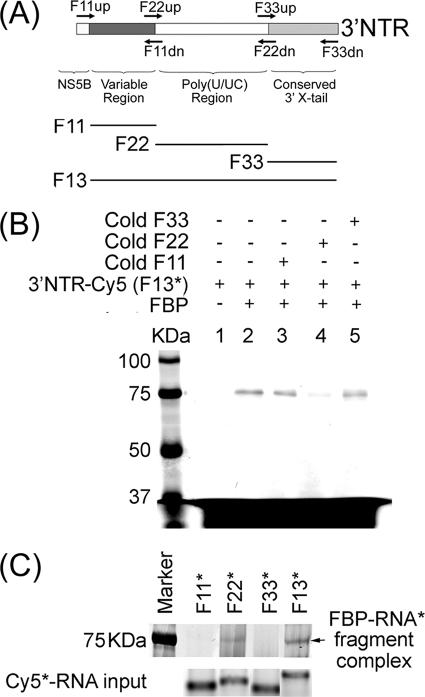 FIG. 3.