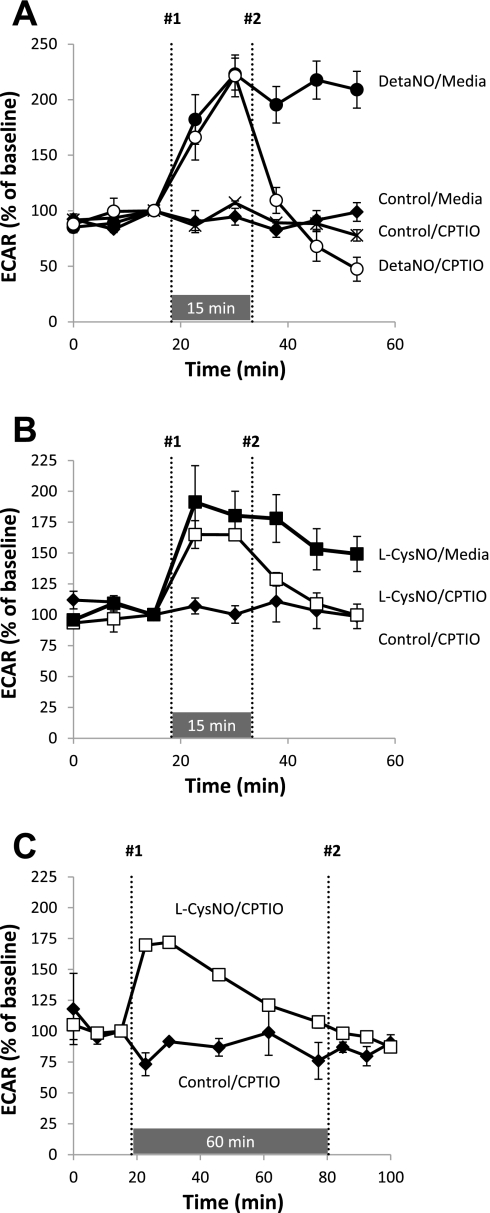 Fig. 8.