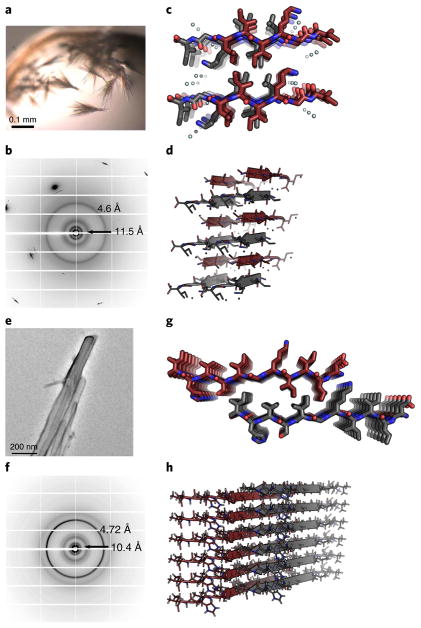 Fig. 2