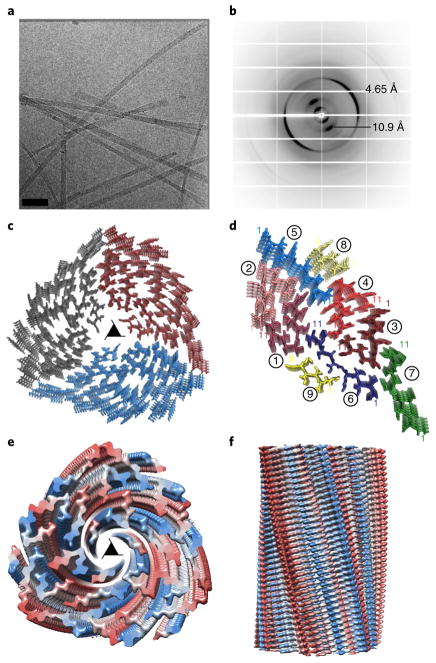 Fig. 3