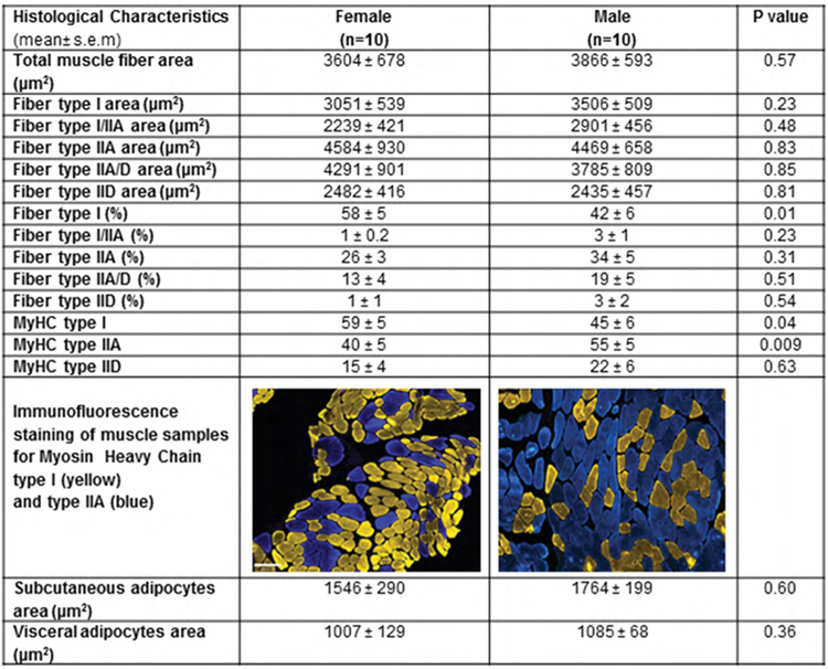 graphic file with name canlivj.3.1.abst_fig27.jpg