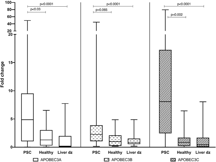 graphic file with name canlivj.3.1.abst_fig22.jpg