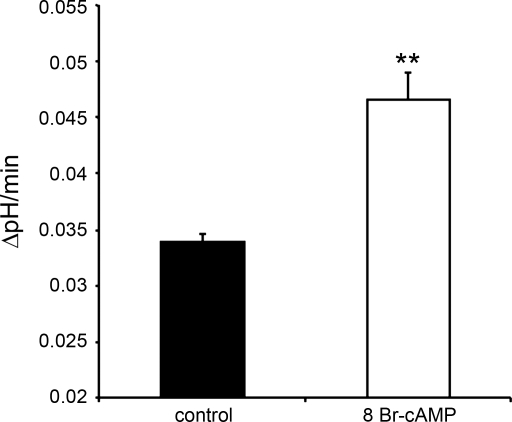 Fig. 12.