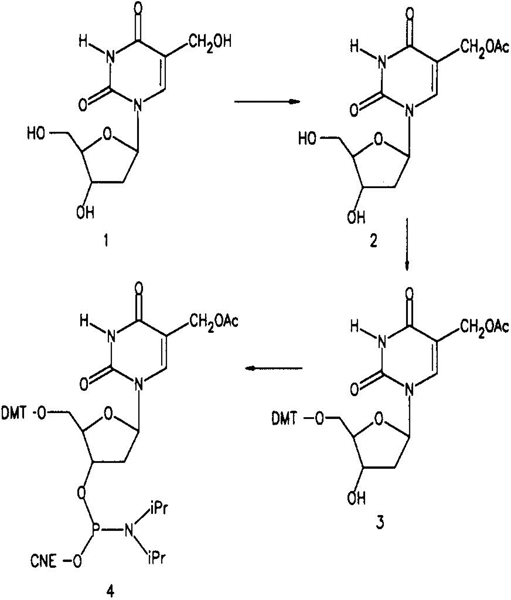 Scheme 1.