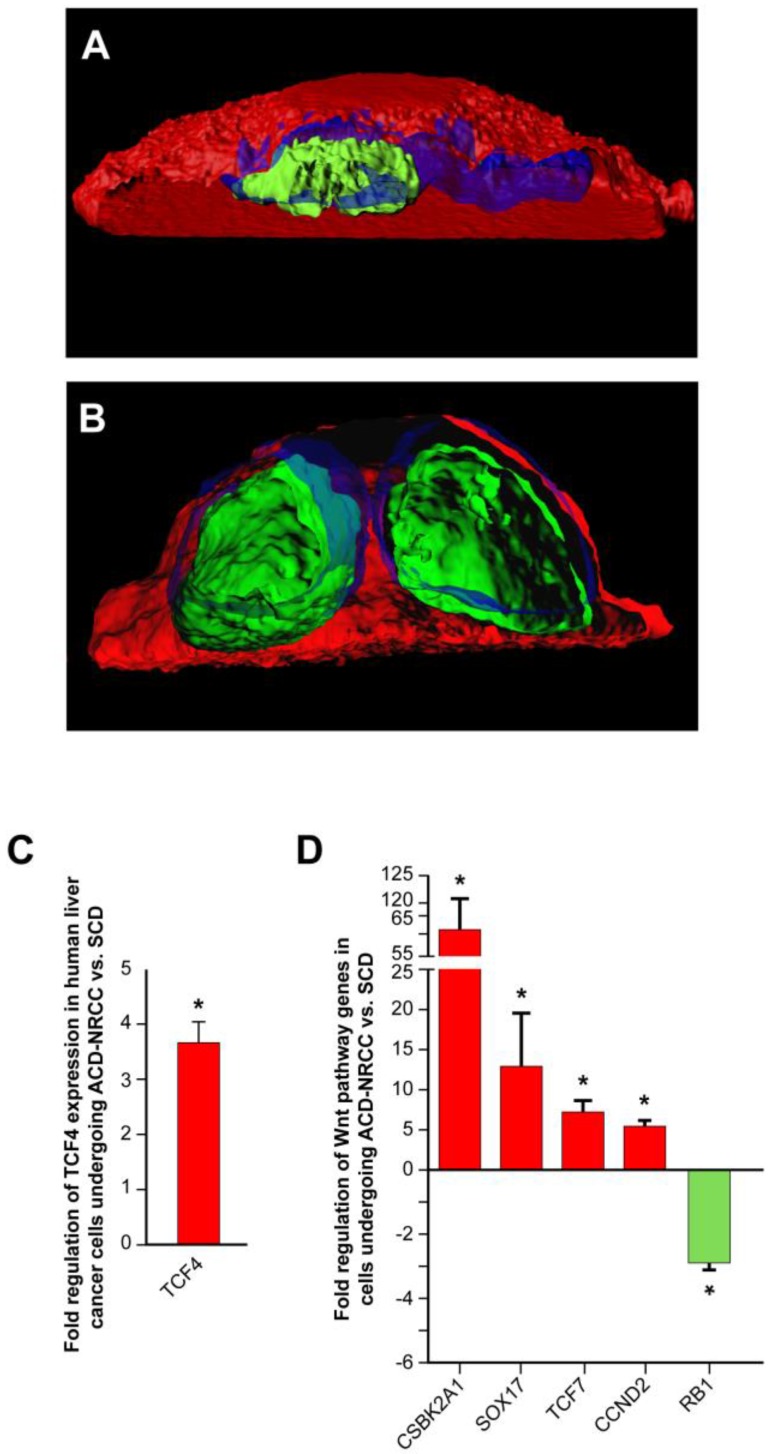 Fig 5