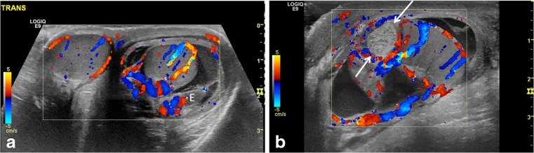 Fig. 8