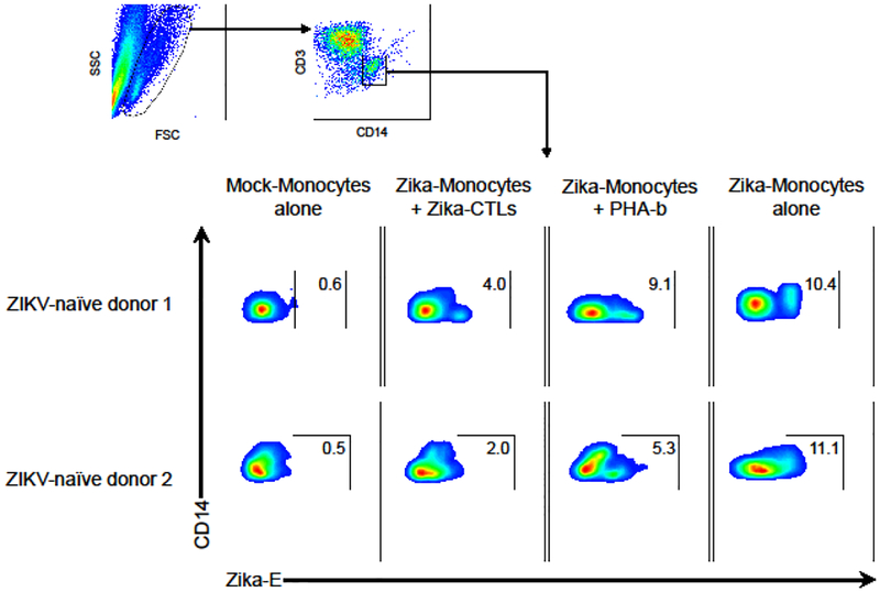 Figure 4.