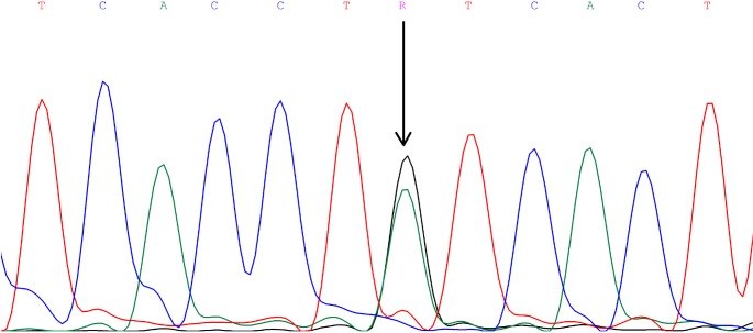 Figure 1