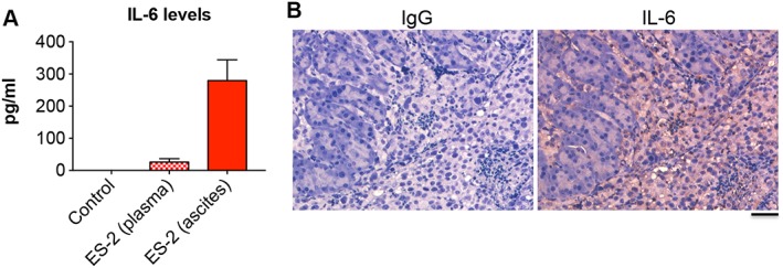 Figure 10