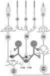 Fig. 6.