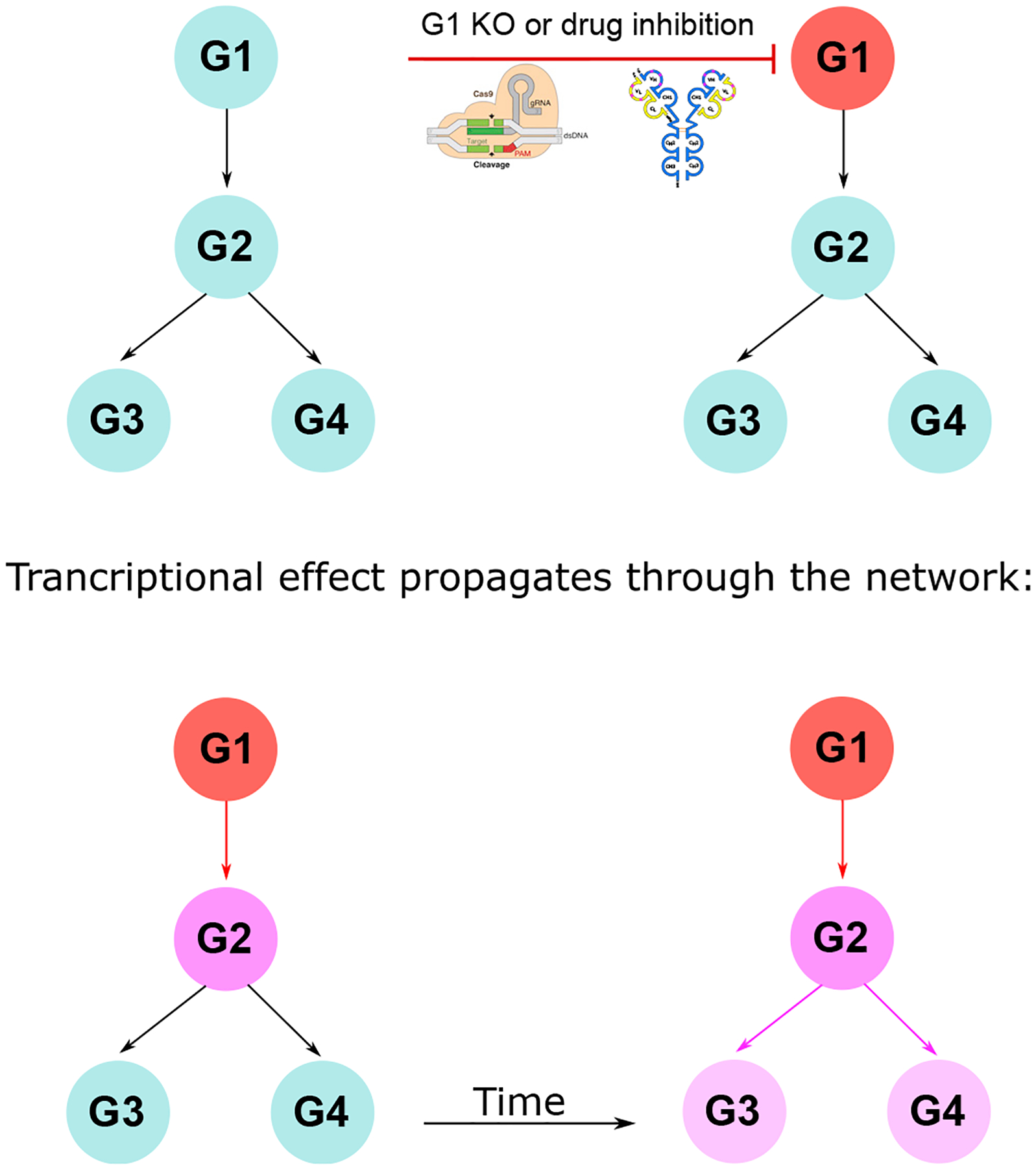 Figure 5.